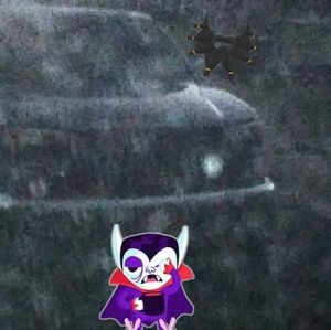 Meet your Posher, Billy